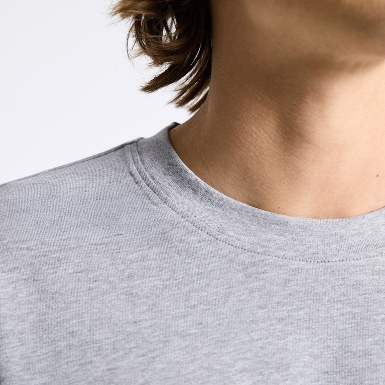 Long sleeve tee "Lion" Grey Melange